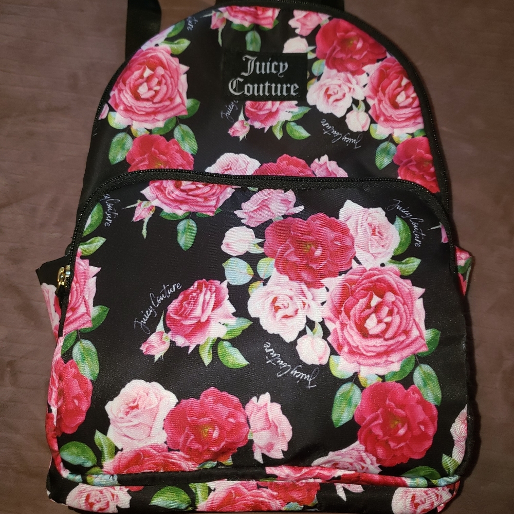 Back pack